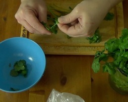 removing the cilantro leaves