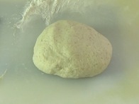 the kneaded dough