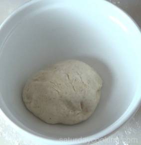 dough in a bowl, pre-rise