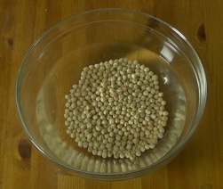 dry chickpeas in a bowl of water